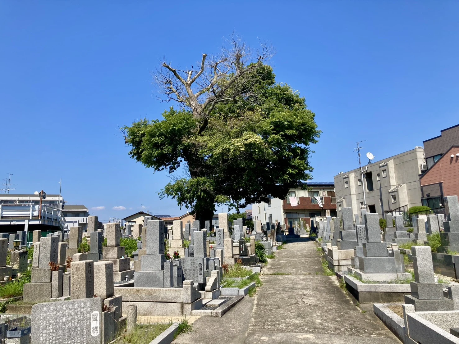 豊中市の新免・南轟木二大字共有墓地